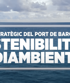 sostenibilitat ambiental